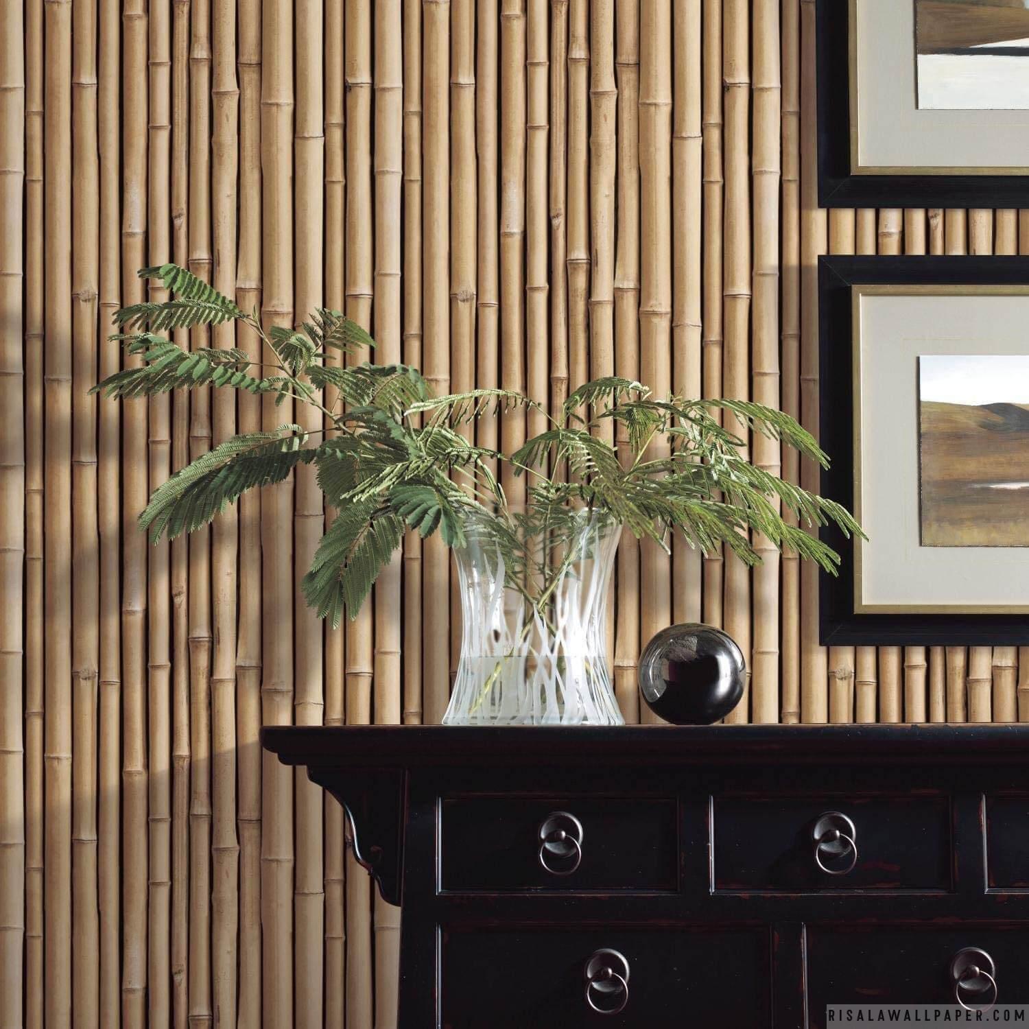 Bamboo Wallpaper